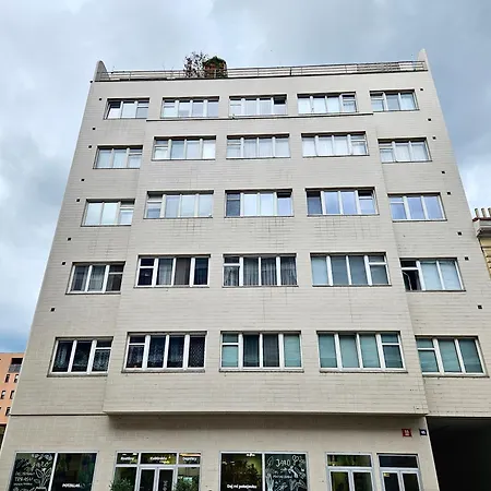 Apartment Floor With Terrace