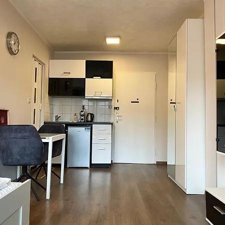 Apartment Floor With Terrace Prague